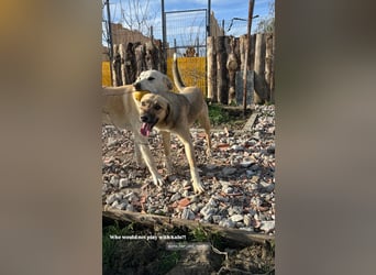 Willow (2) ist bereit für die Welt