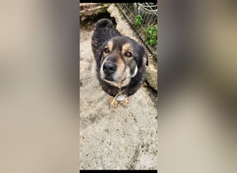 Sheri (6) wartet auf Dich