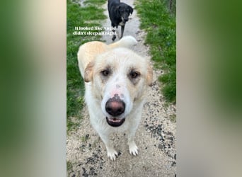 Anxhi (3) sehnt sich nach einer Familie