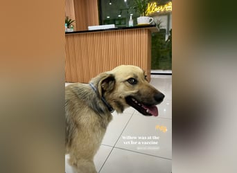 Willow (2) ist bereit für die Welt