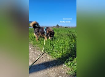 Sheri (6) wartet auf Dich