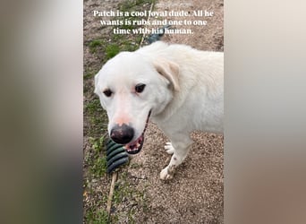 Patch (3) ist ein wahrer Sonnenschein