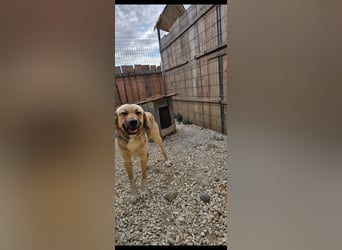 Willow (2) ist bereit für die Welt