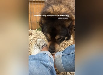 Sheri (6) wartet auf Dich