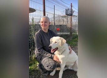 Patch (3) ist ein wahrer Sonnenschein