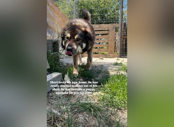 Sheri (6) wartet auf Dich