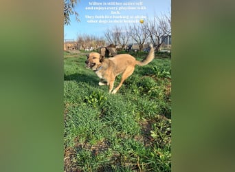 Willow (2) ist bereit für die Welt