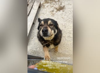 Sheri (6) wartet auf Dich