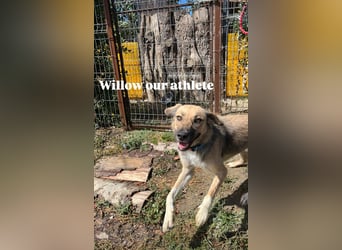 Willow (2) ist bereit für die Welt