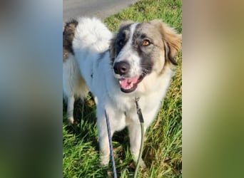 Ozora möchte überzeugen (84104 Rudelzhausen)