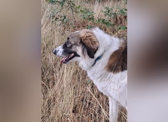 Ozora möchte überzeugen (84104 Rudelzhausen)