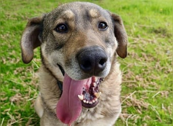 Charmanter Finn möchte die Welt erobern – hilfst du ihm dabei? (07806 Weira)