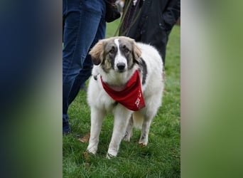 Ozora möchte überzeugen (84104 Rudelzhausen)