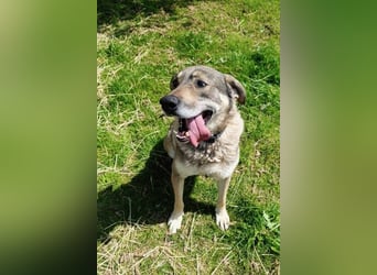 Charmanter Finn möchte die Welt erobern – hilfst du ihm dabei? (07806 Weira)