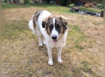 Ozora möchte überzeugen (84104 Rudelzhausen)