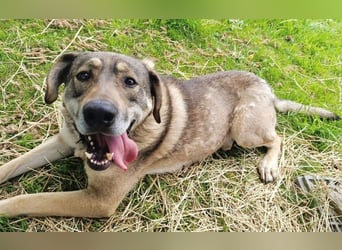 Charmanter Finn möchte die Welt erobern – hilfst du ihm dabei? (07806 Weira)