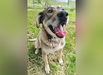 Charmanter Finn möchte die Welt erobern – hilfst du ihm dabei? (07806 Weira)