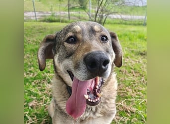 Charmanter Finn möchte die Welt erobern – hilfst du ihm dabei? (07806 Weira)