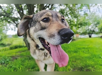 Charmanter Finn möchte die Welt erobern – hilfst du ihm dabei? (07806 Weira)