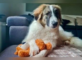 Ozora möchte überzeugen (84104 Rudelzhausen)