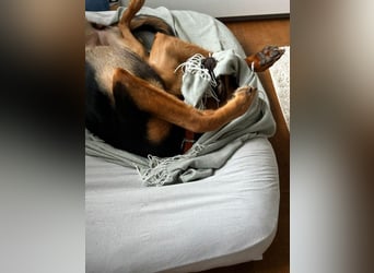 Calita ist menschenbezogen und lernbereit