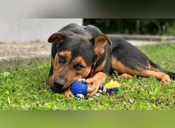 Calita ist menschenbezogen und lernbereit