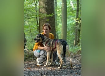 Gaia – kein Hund für große Abenteuer, sondern für kleine gemeinsame Schritte