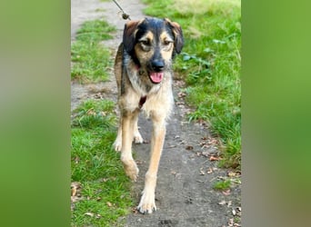 Gaia – kein Hund für große Abenteuer, sondern für kleine gemeinsame Schritte