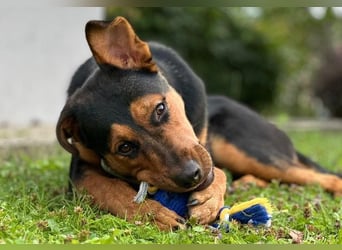 Calita ist menschenbezogen und lernbereit