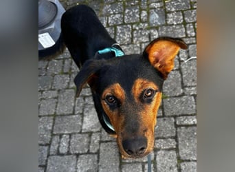 Calita ist menschenbezogen und lernbereit