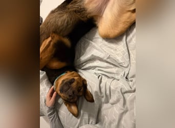 Calita ist menschenbezogen und lernbereit