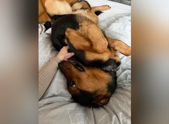Calita ist menschenbezogen und lernbereit