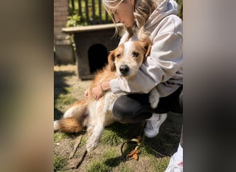 Toti - Sanfte Seele sucht Menschen mit Herz und Geduld!