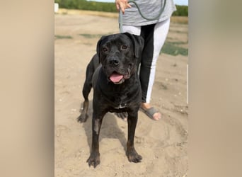 Baldur KK – Süßer Bursche mit sanftem Herz sucht Anschluss ❤️