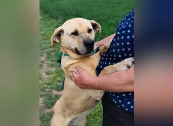 Gerda, geb. 07.2021, 67cm liebt das Wasser