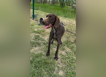 Mendi, geb. 06.2022 sucht ihre liebevollen Menschen