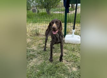 Mendi, geb. 06.2022 sucht ihre liebevollen Menschen