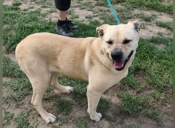 Gerda, geb. 07.2021, 67cm liebt das Wasser