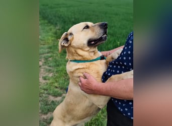 Gerda, geb. 07.2021, 67cm liebt das Wasser