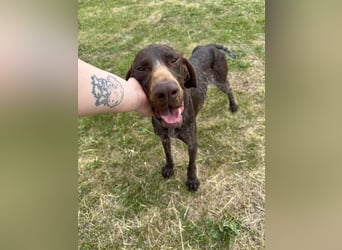 Mendi, geb. 06.2022 sucht ihre liebevollen Menschen