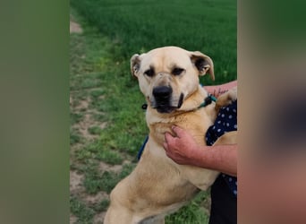 Gerda, geb. 07.2021, 67cm liebt das Wasser