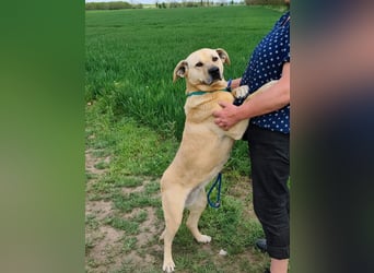 Gerda, geb. 07.2021, 67cm liebt das Wasser