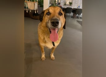 Rico sucht ein liebevolles Zuhause