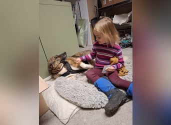 Emma sucht schon so lange ein Zuhause