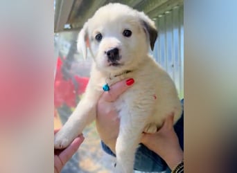 Kosmas möchte die Welt entdecken