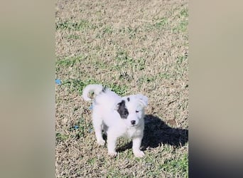 Nira möchte die Welt entdecken