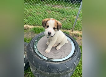 Thanos möchte bei seinen Menschen ankommen