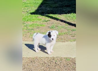 Nira möchte die Welt entdecken