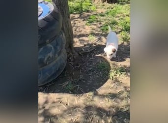 Dalia wünscht sich Sicherheit und Liebe