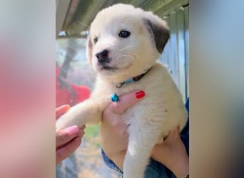 Kosmas möchte die Welt entdecken